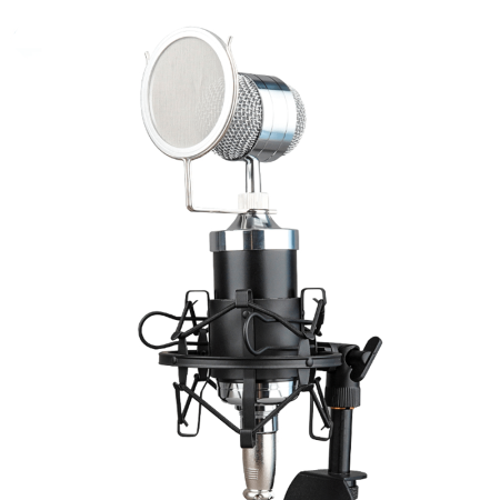 Micrófono BM 8000 Profesional con soporte NB-35